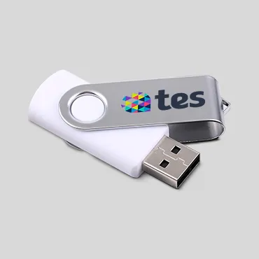 Branded USB Drives Dubai — Black Lion Sign Dubai